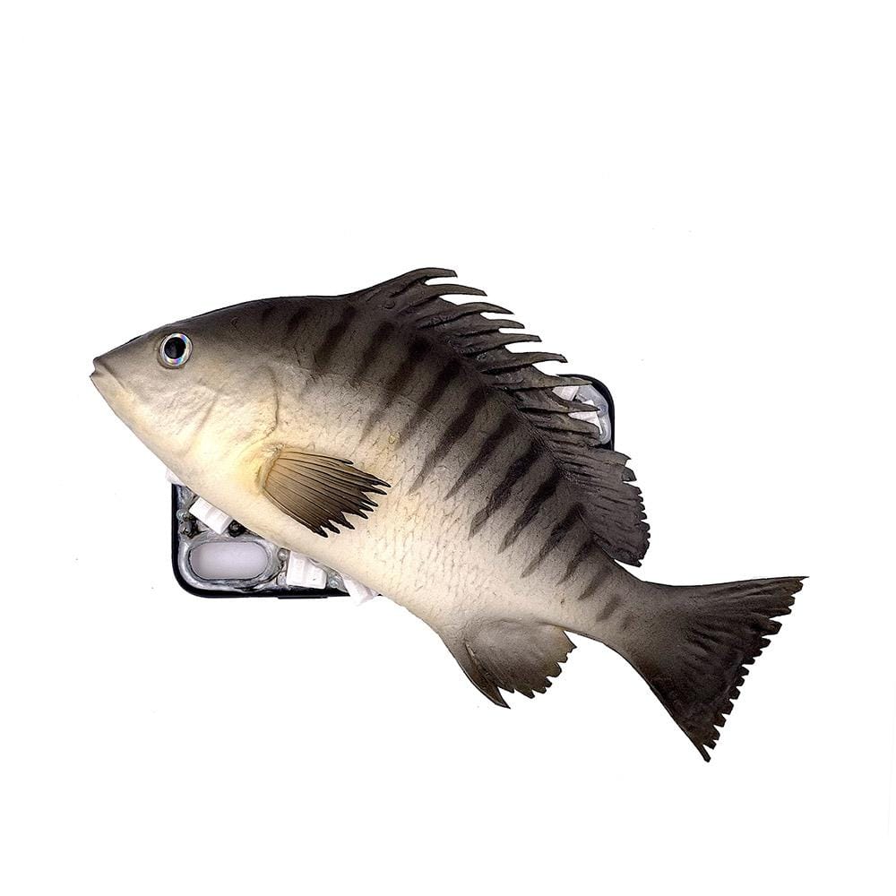 The Black Fish Handmade Designer iPhone Case For iPhone 12 SE 11 Pro Max X XS Max XR 7 8 Plus - techypopcom