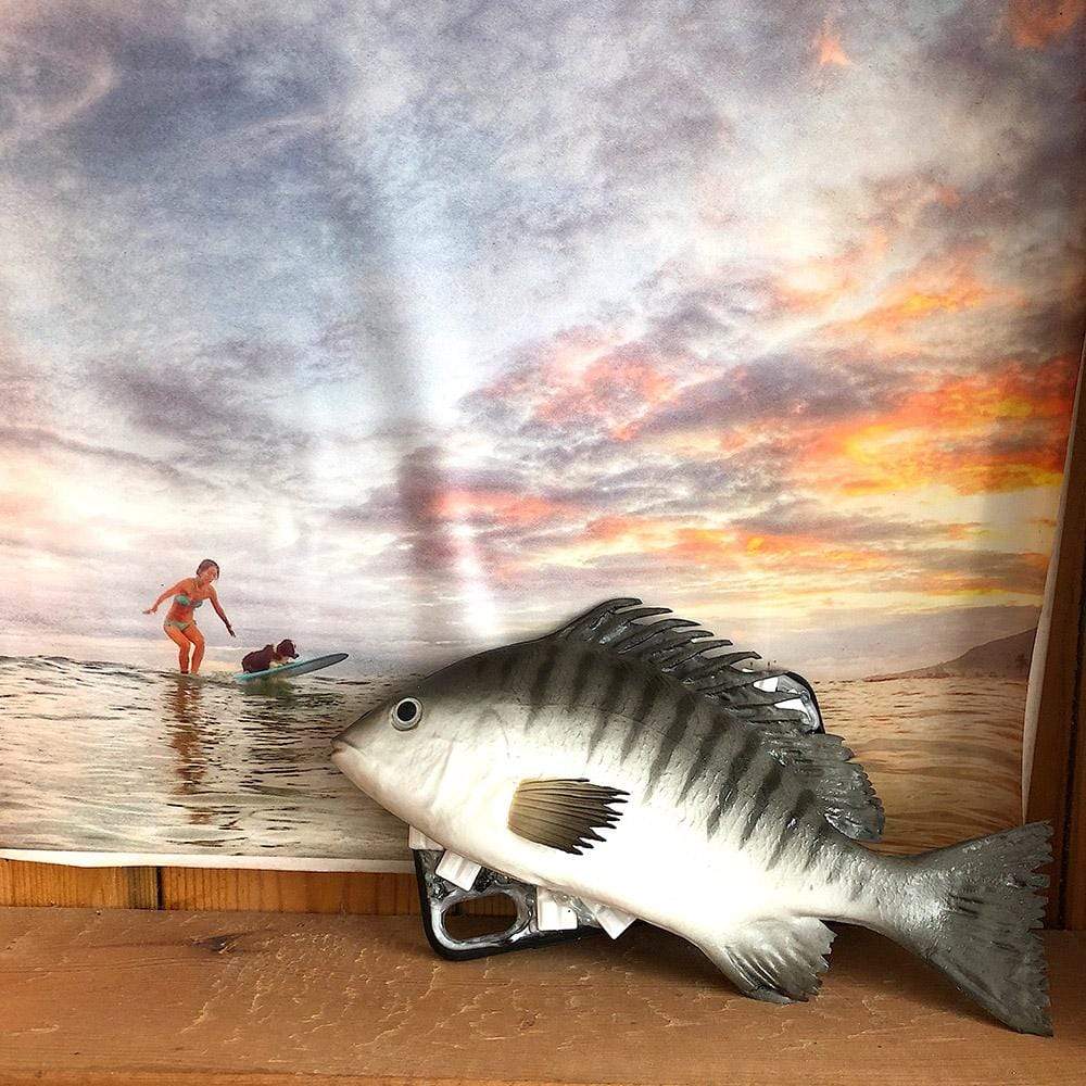The Black Fish Handmade Designer iPhone Case For iPhone 12 SE 11 Pro Max X XS Max XR 7 8 Plus - techypopcom