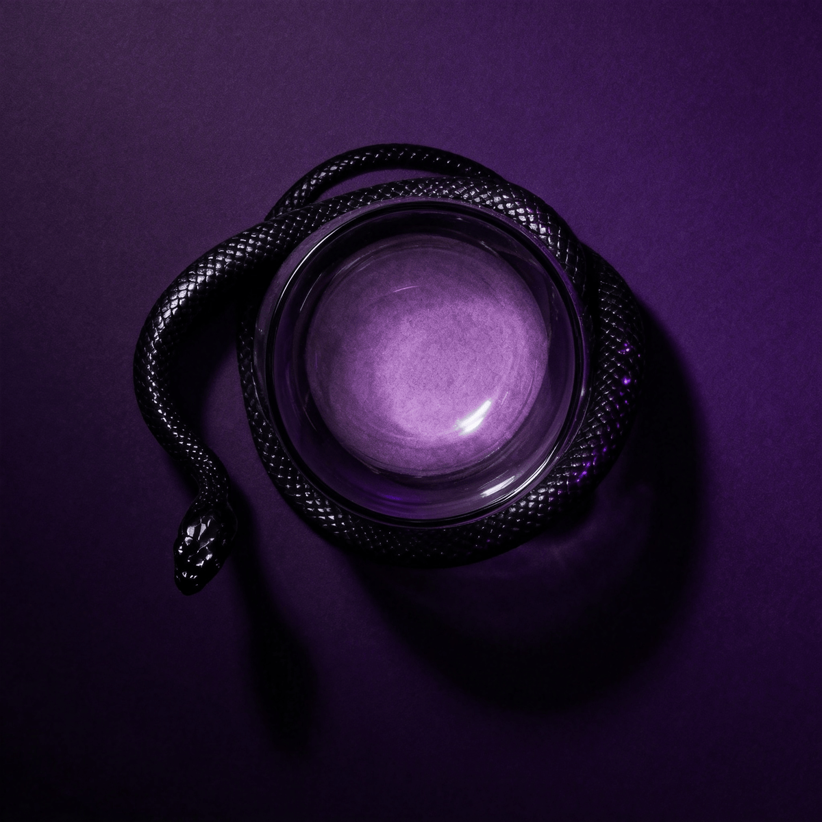Techypop.com Forbidden Sip Snake Glass